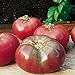 Photo Burpee 'Cherokee Purple' Heirloom | Large Slicing Tomato | Rich Flavor review
