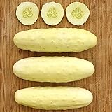 Silver Slicer Cucumber Seeds (25+ Seeds)(More Heirloom, Organic, Non GMO, Vegetable, Fruit, Herb, Flower Garden Seeds (25+ Seeds) at Seed King Express) Photo, new 2024, best price $3.69 review