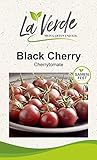 Black Cherry Tomatensamen Foto, neu 2024, bester Preis 3,25 € Rezension