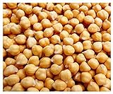 Garbanzo Bean Seeds - Chickpea Seeds - 30+ Seeds Photo, new 2024, best price $9.99 ($19.98 / Ounce) review