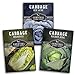 Photo Cabbage Collection Seed Vault - Non-GMO Heirloom Survival Garden Seeds for Planting - Red Acre, Golden Acres, and Michihili (Napa) Cabbage Seed Packets to Grow Your Own Healthy Cruciferous Vegetables review