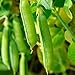 Photo Sugar Snap Pea Garden Seeds - 5 Lbs - Non-GMO, Heirloom Vegetable Gardening Seed review