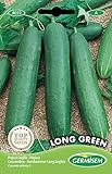 Germisem Long Green Semillas de Pepino 3 g Foto, nuevo 2024, mejor precio 2,21 € revisión