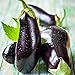 Photo David's Garden Seeds Eggplant Black Beauty 2477 (Black) 50 Non-GMO, Heirloom Seeds review