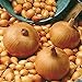 Foto Semillas vegetales100Pcs/Bag Vegetable Seeds suculentas cebolla nutritiva fresca de rápido crecimiento - Semillas de cebolla revisión