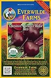 Everwilde Farms - 500 Organic Detroit Dark Red Beet Seeds - Gold Vault Packet Photo, new 2024, best price $3.25 review