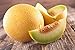 Photo Lot de 50 Graines de Melon Ananas - chair orange, sucrée, juteuse et très parfumée - culture facile - la plante peut porter jusqu’à 6/8 fruits - vigoureuse et très ramifiée - semences reproductibles examen