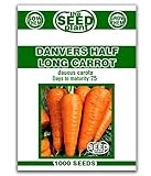 Danvers Half Long Carrot Seeds - 1000 Seeds Non-GMO Photo, new 2024, best price $1.59 review