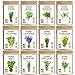 Photo Seedra 12 Herb Seeds Variety Pack - 3800+ Non-GMO Heirloom Seeds for Planting Hydroponic Indoor or Outdoor Home Garden - Rosemary, Tarragon, Lavender, Oregano, Basil, Thyme, Parsley, Chives & More review