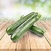 Foto Zucchini 25 x Samen - Aus Portugal 100% Natürlich Ohne Chemische Anzuchthilfe Oder Gentechnik, Einfach Nur Natur Pur Rezension