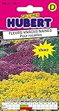 Mélange de Graines de Fleurs Vivaces Naines Pour Rocailles - 0,5 grammes Photo, nouveau 2024, meilleur prix 4,65 € examen