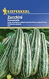 Zucchinisamen - Zucchini Coucourzelle von Kiepenkerl Foto, neu 2024, bester Preis 2,77 € Rezension