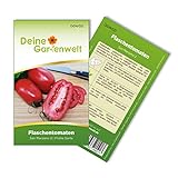 Flaschentomaten San Marzano 2 Samen - Solanum lycopersicum - Tomatensamen - Gemüsesamen - Saatgut für 20 Pflanzen Foto, neu 2024, bester Preis 1,99 € (0,10 € / stück) Rezension