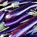 Photo David's Garden Seeds Eggplant Long Purple 1131 (Purple) 50 Non-GMO, Heirloom Seeds review