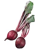 Burpee Detroit Supreme Beet Seeds 350 seeds Photo, new 2024, best price $6.16 review