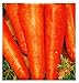 Foto Semillas de zanahoria san valerio - verduras - daucus carota - aprox. 4500 semillas - las mejores semillas de plantas - flores - frutas raras - zanahorias - idea de regalo - revisión