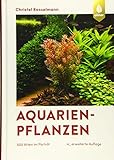 Aquarienpflanzen: 500 Arten im Porträt Foto, neu 2024, bester Preis 69,95 € Rezension
