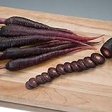 David's Garden Seeds Carrot Deep Purple 1111 (Purple) 200 Non-GMO, Hybrid Seeds Photo, new 2024, best price $3.95 review