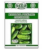 National Pickling Cucumber Seeds - 50 Seeds Non-GMO Photo, new 2024, best price $1.59 ($0.03 / Count) review