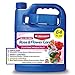 Photo BioAdvanced 701262 All in One Rose and Flower Care Plant Fertilizer Insect Killer, and Fungicide, 64 Ounce, Concentrate review