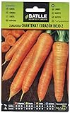 Batlle Gemüsesamen - Möhre Chantenay rotes Herz (7500 Samen) Foto, neu 2024, bester Preis 4,95 € Rezension