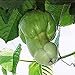 Foto Oce180anYLVUK Kürbiskerne, 30 Stück/Beutel Kürbiskerne Living Essbarer Garten Gemüsesamen Für Den Garten Samen Rezension