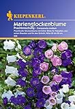 Sperli Blumensamen Glockenblume Marien-Prachtmischung, grün Foto, neu 2024, bester Preis 3,02 € Rezension