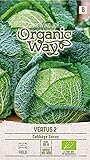 Organic Way | WIRSING VERTUS 2 samen | Gemüsesamen | Kohlsamen | Garten Samen | Mittelfrühsorte für die Sommer- bzw. Herbsternte | 1 Pack Foto, neu 2024, bester Preis 2,88 € Rezension