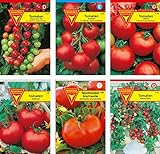 Frankonia-Samen / Tomatensamen-Sortiment / 6 Tomatensorten / Tomate Supersweet / Tomate Harzfeuer / Tomate Matina / Tomate Hellfrucht / Fleischtomate / Tomate Balkonzabuber Foto, neu 2024, bester Preis 6,95 € Rezension