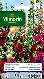 Vilmorin 5751742 Pack de Graines Rose Trémière Double Grande Variée Photo, nouveau 2024, meilleur prix 4,78 € examen