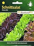 Schnittsalat Fitness Mix Salat vitaminreich Foto, neu 2024, bester Preis 2,50 € Rezension