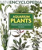 Aquarium Plants: Comprehensive coverage, from growing them to perfection to choosing the best varieties. (Mini Encyclopedia Series) Photo, new 2024, best price $12.57 review