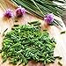 Foto 100pcs / lot de las cebolletas chinas de Semillas Semillas Allium Schoenoprasum Condimento vegetal Oriental ensalada de cebolla semillas de hortalizas Bonsai bricolaje revisión