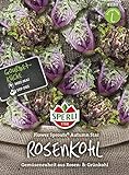 Kohlsamen - Rosenkohl Flower Sprout Autumn Star von Sperli-Samen Foto, neu 2024, bester Preis 7,48 € Rezension
