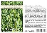 Seedeo® Zuckererbse Schweizer Riesen (Pisum sativum L. convar. Axiphium) ca. 50 Samen BIO Foto, neu 2024, bester Preis 2,95 € Rezension