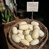 Dragon Eggs Seeds for Planting - 20 Seeds - White Cucumber Seeds - Ships from Iowa, USA Photo, new 2024, best price $7.96 ($0.40 / Count) review