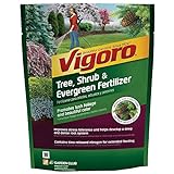 3.5 lb. Tree, Shrub and Evergreen Plant Food-Vigoro-124260 (1 Pack) Photo, new 2024, best price $19.95 review