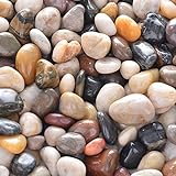 5.7lb River Rock Stones Pebbles - Natural Decorative Polished Mixed Pebbles Gravel, Small Decorative Polished Gravel，for Plant Aquariums, Landscaping, Ponds,terrariums Vase Fillers，DIY，Home Decor etc. Photo, new 2024, best price $16.99 review