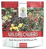 Deer Resistant Wildflower Seed Mixture - Bulk 1 Ounce Packet - Over 15,000 Deer Tolerant Seeds - Open Pollinated and Non GMO Photo, new 2024, best price $7.97 review
