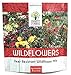Photo Deer Resistant Wildflower Seed Mixture - Bulk 1 Ounce Packet - Over 15,000 Deer Tolerant Seeds - Open Pollinated and Non GMO review