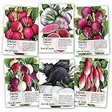 Seed Needs, Multicolor Radish Seed Packet Collection (6 Individual Packets) Non-GMO Seeds Photo, new 2024, best price $11.85 review