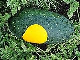 David's Garden Seeds Fruit Watermelon Moon & Stars 3147 (Yellow) 25 Non-GMO, Open Pollinated Seeds Photo, new 2024, best price $3.95 review