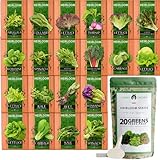 Bulk Lettuce & Leafy Greens Seed Vault - 3000+ Non-GMO Vegetable Seeds for Planting Indoor or Outdoor - Kale, Spinach, Butter, Oak, Romaine Bibb & More - Hydroponic Home Garden Seeds (20 Variety) Photo, new 2024, best price $21.95 ($1.10 / Count) review