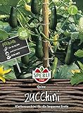 Zucchini, Quine, Cucurbita pepo Foto, neu 2024, bester Preis 4,56 € Rezension
