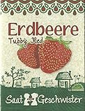 Die Stadtgärtner Erdbeere Tubby Red-Saatgut | Ideal zum Naschen | Samen für saftige rote Erdbeeren Foto, neu 2024, bester Preis 3,90 € Rezension