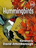 Hummingbirds Photo, new 2024, best price  review