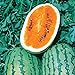 Photo Burpee Orange Tendersweet Watermelon Seeds 60 seeds review