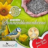 samore Sonnenblumenkerne gestreift erstklassige Qualität Wildvogelfutter Foto, neu 2024, bester Preis 38,56 € (1,54 € / kg) Rezension