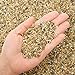 Photo 2.7 lb Coarse Sand Stone - Succulents and Cactus Bonsai DIY Projects Rocks, Decorative Gravel for Plants and Vases Fillers，Terrarium, Fairy Gardening, Natural Stone Top Dressing for Potted Plants. review
