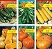 Foto Frankonia-Samen/Samen-Sortiment / 3 Kürbissorten und 3 Zucchinisorten/Zucchini Black Beauty/Zuchini Partenon F1 Rezension